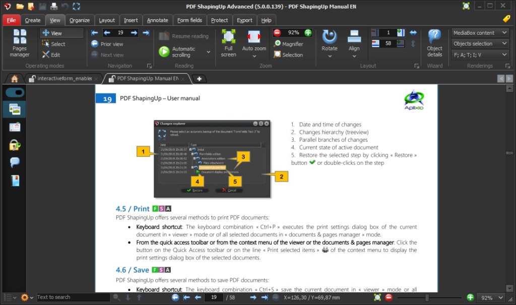 PDF ShapingUp 5.0.0, Efficient User Interface Design